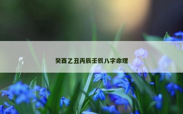 癸酉乙丑丙辰壬辰八字命理