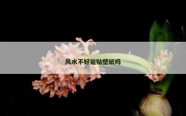風(fēng)水不好能貼壁紙嗎