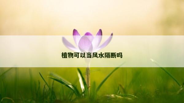植物可以當風水隔斷嗎