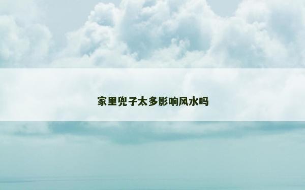 家里兜子太多影響風水嗎