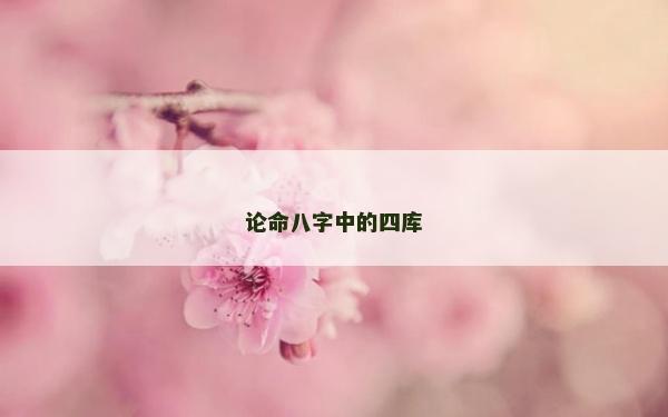 論命八字中的四庫