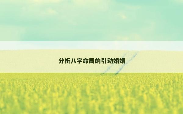 分析八字命局的引動婚姻