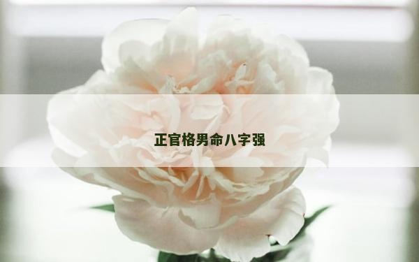 正官格男命八字強