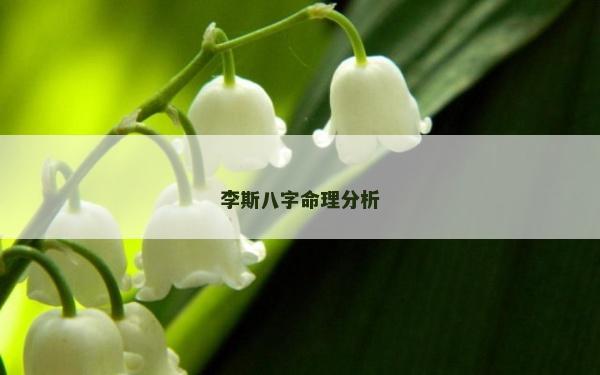 李斯八字命理分析
