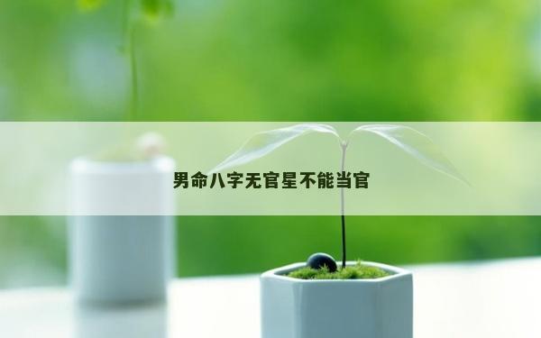男命八字無官星不能當官