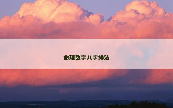 命理數(shù)字八字排法