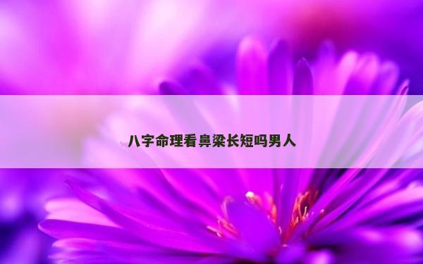 八字命理看鼻梁長短嗎男人