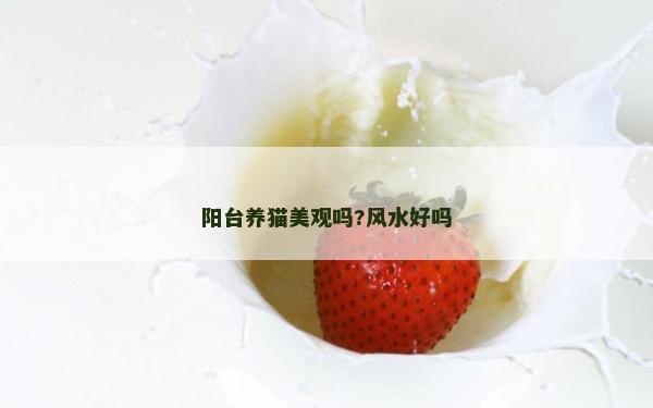 陽臺養貓美觀嗎?風水好嗎