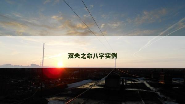 雙夫之命八字實例