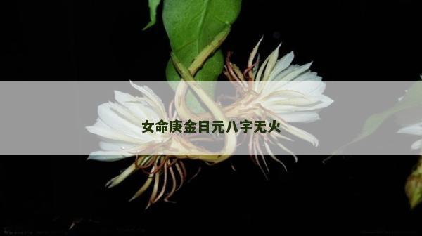 女命庚金日元八字無火