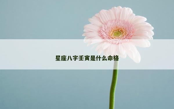 星座八字壬寅是什么命格