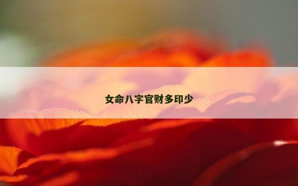 女命八字官財多印少