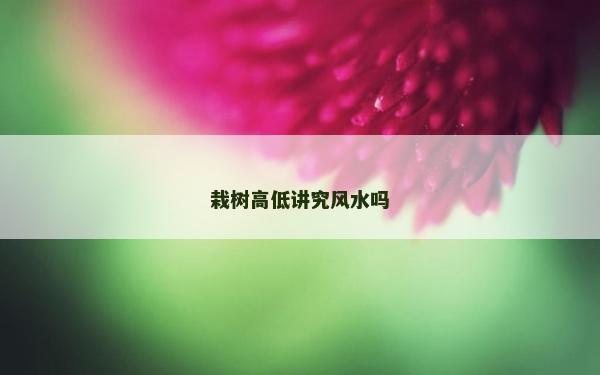 栽樹高低講究風水嗎