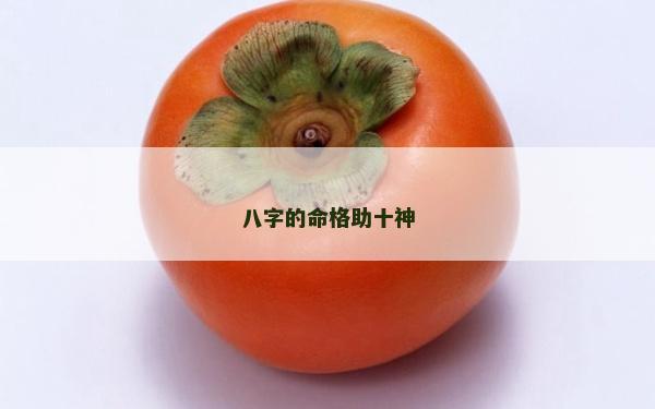 八字的命格助十神