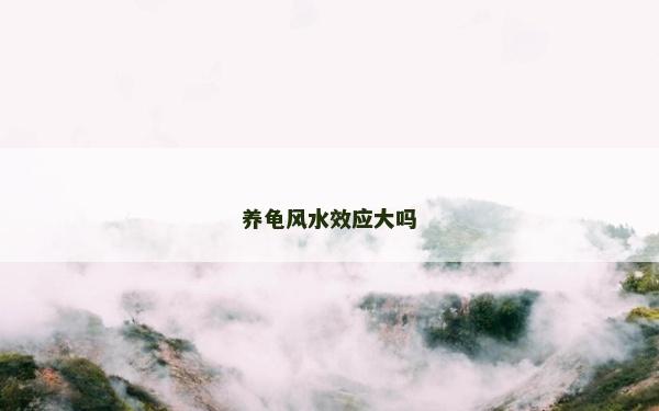 養(yǎng)龜風(fēng)水效應(yīng)大嗎