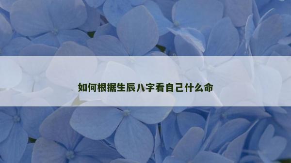 如何根據生辰八字看自己什么命