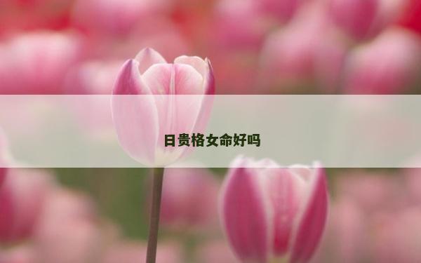 日貴格女命好嗎