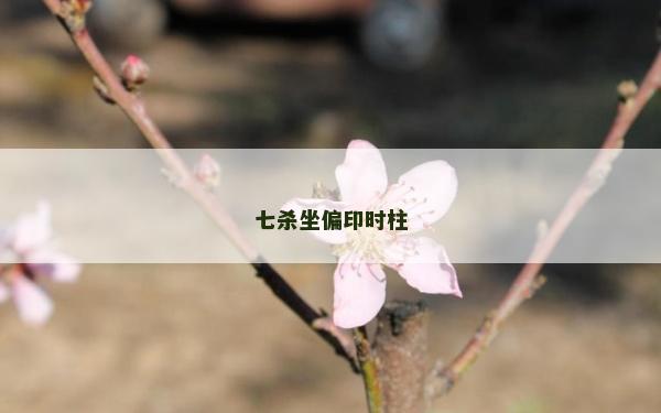 七殺坐偏印時柱