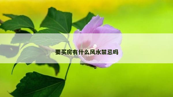 要買房有什么風(fēng)水禁忌嗎