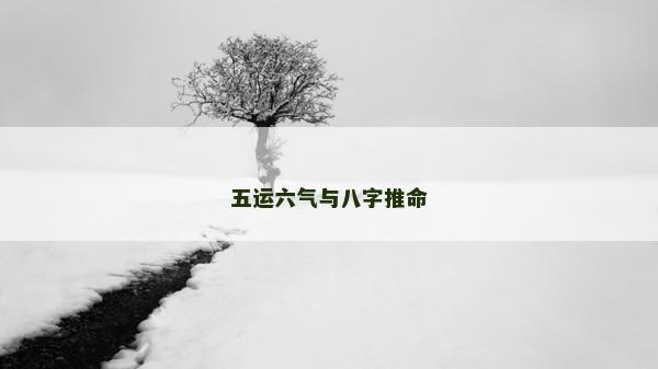 五運六氣與八字推命