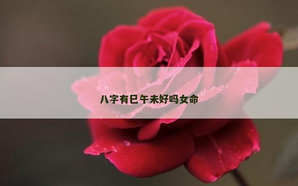八字有巳午未好嗎女命