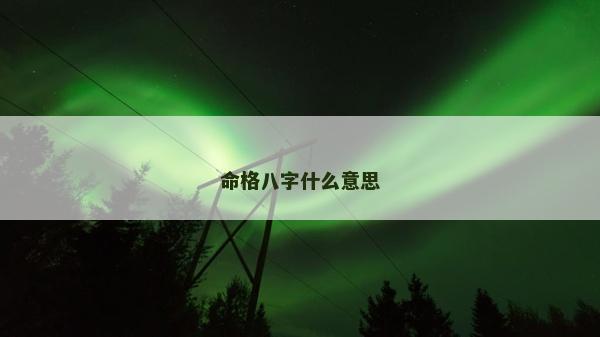 命格八字什么意思
