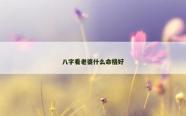 八字看老婆什么命格好