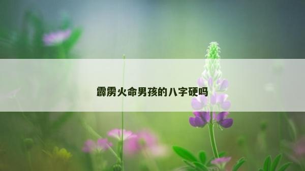 霹靂火命男孩的八字硬嗎