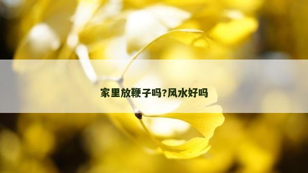 家里放鞭子嗎?風水好嗎