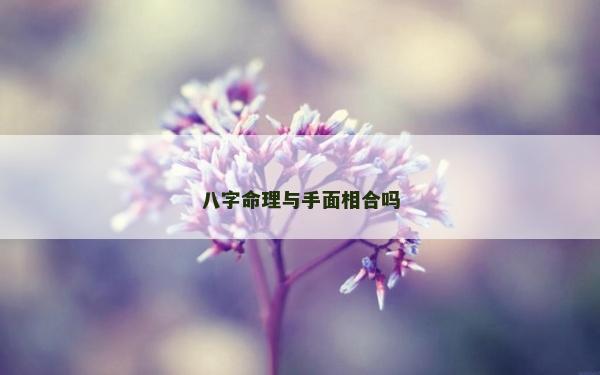 八字命理與手面相合嗎