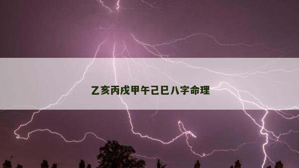 乙亥丙戌甲午己巳八字命理