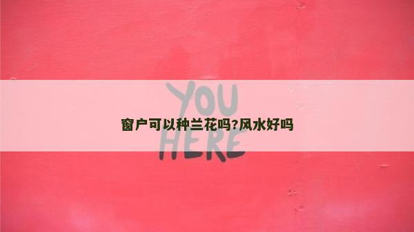 窗戶(hù)可以種蘭花嗎?風(fēng)水好嗎