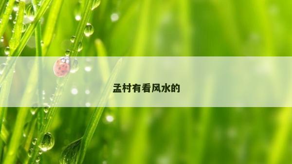 孟村有看風水的