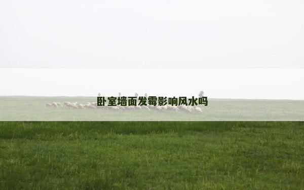 臥室墻面發霉影響風水嗎