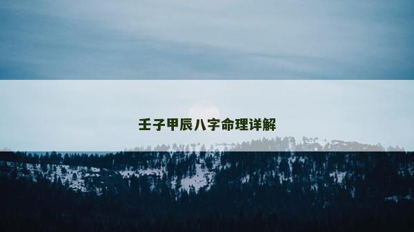 壬子甲辰八字命理詳解