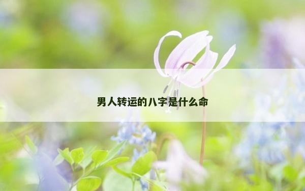 男人轉(zhuǎn)運(yùn)的八字是什么命