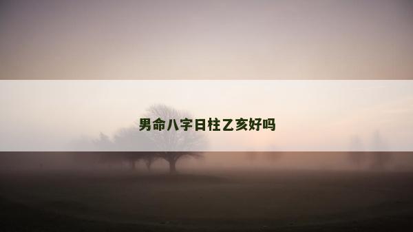 男命八字日柱乙亥好嗎