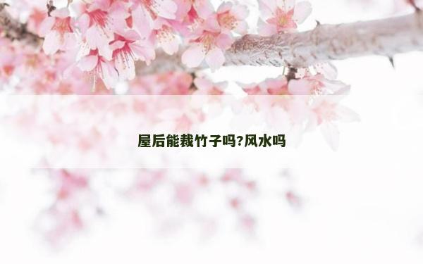 屋后能裁竹子嗎?風水嗎