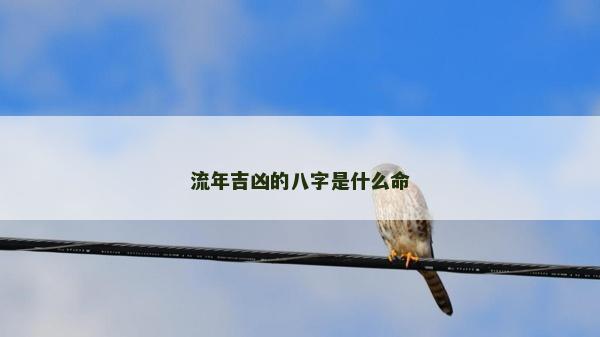 流年吉兇的八字是什么命