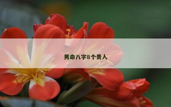 男命八字8個(gè)貴人