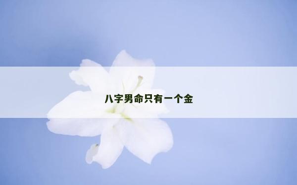 八字男命只有一個金