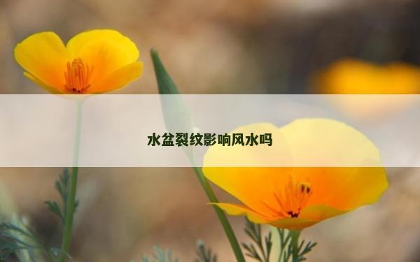 水盆裂紋影響風水嗎