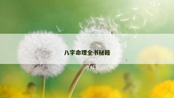八字命理全書秘籍