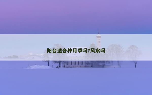 陽臺適合種月季嗎?風水嗎
