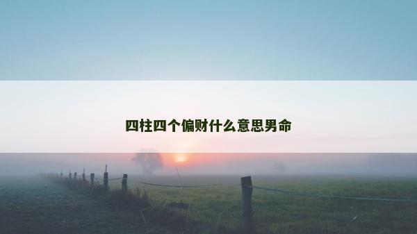 四柱四個偏財什么意思男命