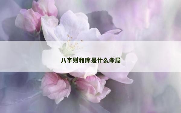 八字財和庫是什么命局