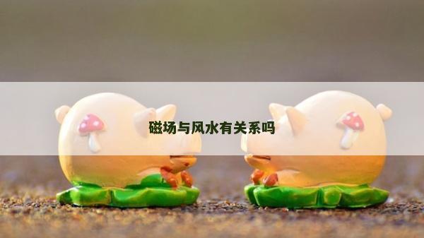 磁場(chǎng)與風(fēng)水有關(guān)系嗎