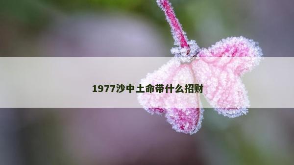 1977沙中土命帶什么招財