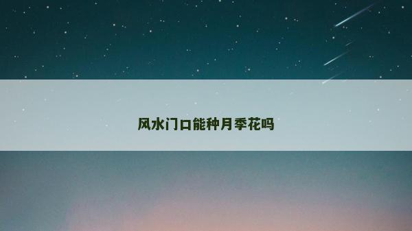 風水門口能種月季花嗎