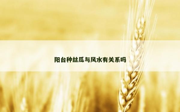 陽臺種絲瓜與風(fēng)水有關(guān)系嗎